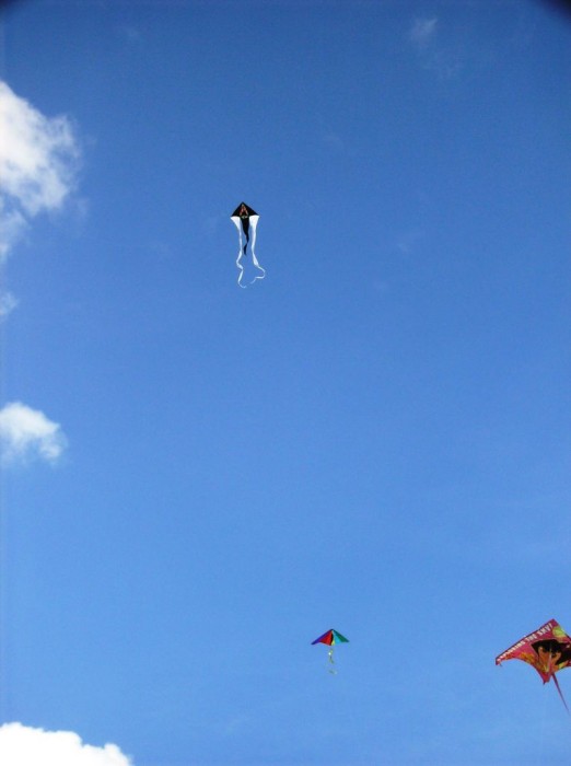 2008 KiteFestival-013.jpg